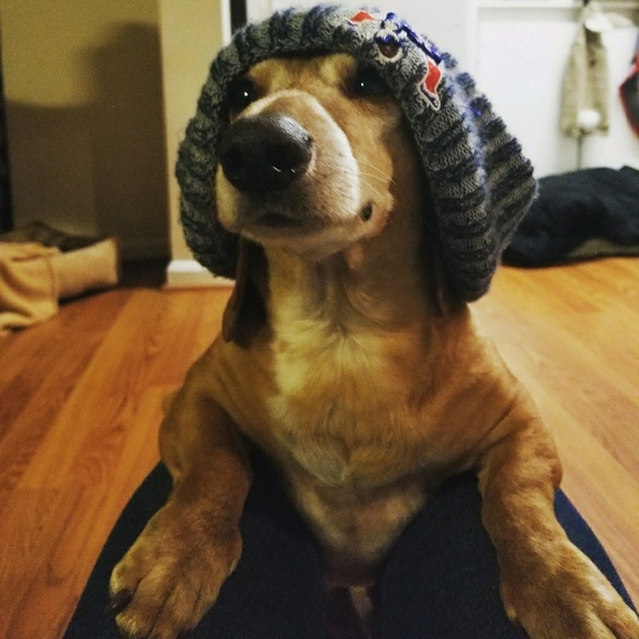 Meet your Posher, Tanya - Picture 1 of 1